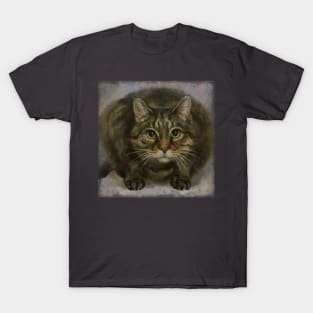 Gray circle cat T-Shirt